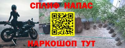 стаф Малоярославец
