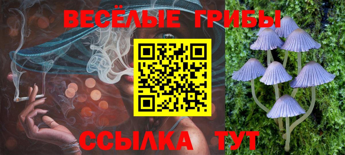 Строитель  Галлюциногенные грибы прущие грибы  Вход с VPN 