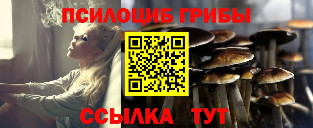 Псилоцибиновые грибы GOLDEN TEACHER Строитель